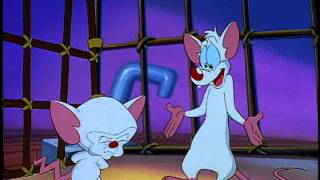 Pinky and the Brain  Obsequious [upl. by Inanaup]