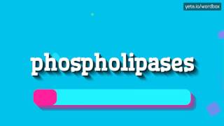 PHOSPHOLIPASES  HOW TO PRONOUNCE IT [upl. by Oruntha714]