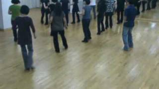 Games People Play  Line Dance Demo amp Walk Through [upl. by Anauqcaj]