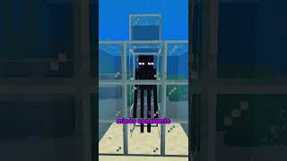 Cómo torturar a un enderman en Minecraft 🤫 [upl. by Jemmy753]