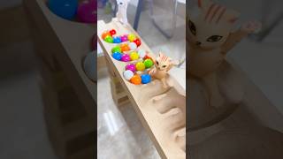 Marble runs with extremely rolling slopes marblerun marblerunrace asmr [upl. by Neelyar485]