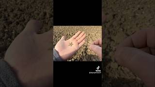 metaldetecting xpdeusmetaldetector motivation xpdeusdetector history [upl. by Atinaw]