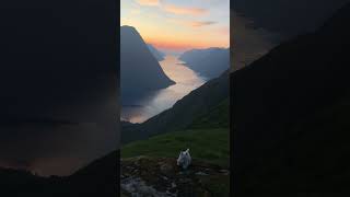 Sunset in the Sunnmøre Alps💙 norway mountains nature hiking westie travel dog [upl. by Adnal567]