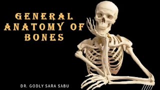 GENERAL ANATOMY OF BONES anatomy bones osteology generalanatomy [upl. by Lerrej]