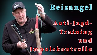 Reizangel  AntiJagdTraining und Impulskontrolle fördern [upl. by Klusek]