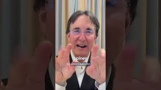 Become More Adept in Not Reacting  Dr John Demartini [upl. by Kleiman]