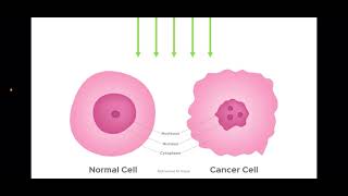 Patients on Radiotherapy and Chemotherapy part1 [upl. by Nitsua]