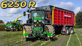 Let’s Drive John Deere 6250 R amp 9800i😱  Mais ballern💪  Bauer Struck in 4K UHD [upl. by Nivram]