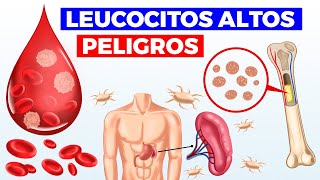 ¿Qué significan los LEUCOCITOS ALTOS causas PELIGROS y cuando acudir con tu médico [upl. by Ojiram395]