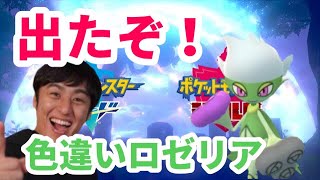 【ポケモン剣盾】色違いロゼリア出ました！！【シロナ色違いパーティ完成】 [upl. by Geneva560]