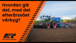 🇩🇰 Hvordan gik det med det efterårssået vårbyg [upl. by Amrac]