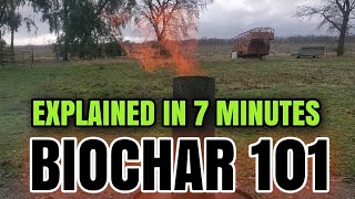 EVERYTHING YOU ever WANTED to KNOW about BIOCHAR 🔥 [upl. by Assirroc]