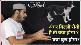 Why Cats Cry sometimes in our Home   Complete History Of Cats  Live Wazifa [upl. by Ashbey]