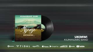 Kilimanjaro Band  Ukimwi Official Audio [upl. by Fellows]