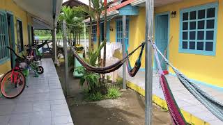 Touring a Hostel in Tortuguero Costa Rica [upl. by Werdna]