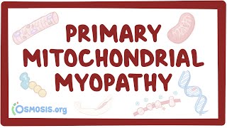 Primary mitochondrial myopathy  causes symptoms diagnosis treatment pathology [upl. by Ennairb]