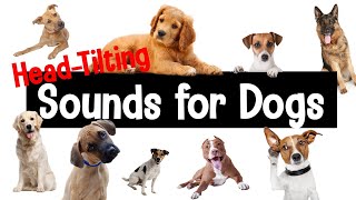 Sounds for Dogs  HeadTilting Sounds Your Dog Will Love [upl. by Llyrehc]