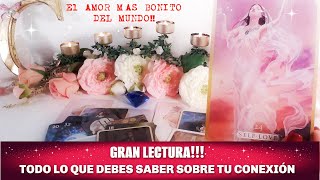 🎁GRAN LECTURA🎉TODO LO QUE NECESITAS SABER SOBRE TU CONEXIÓN👈👀TAROT INTERACTIVO DEL AMOR Cordelia [upl. by Rurik]