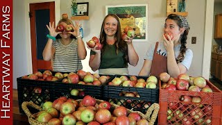 Four Ways to Put Up Apples  Heartway Farms  How to Use and Store Apples  Fall Apple Harvest [upl. by Yedsnil]