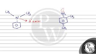 A positive carbylamine test is given by [upl. by Nonnag]