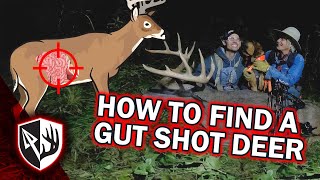 How To Find A Gut Shot Deer [upl. by Eneg]