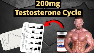 200mg Testosterone Cycle  Best Steroid Cycle  Muscle Gains  Side Effects  Doctors Analysis [upl. by Loni]