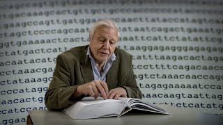 The Book of Life DNA  Attenborough 60 Years in the wild  BBC Earth [upl. by Torie761]