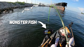 Targeting Inshore Snapper When THIS HAPPENED  Inshore Kayak Fishing Florida [upl. by Philis376]