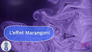 Projet Marangoni  leffet marangoni [upl. by Linis]