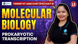 Prokaryotic Transcription for IIT JAM Biotechnology  GAT B  CUET PG 2025  Molecular Biology  L5 [upl. by Braden]