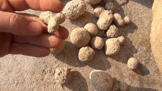 Trovants las rocas que crecen en Rumanía [upl. by Correna]