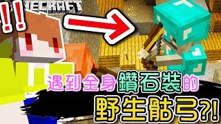 【Minecraft】茶杯生存Ep159 💎遇到全身鑽石裝的野生骷弓【當個創世神】 [upl. by Ginni]