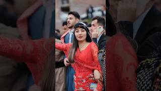 Kurdish Newroz Halparke 2024 halparke newroz dance [upl. by Yentuoc]