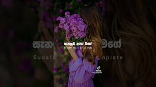 දෙනුවන් පියෙනා  Denuwan piyena  Cover denuwan piyena kalayata mage  treinding music cover [upl. by Yamauchi870]