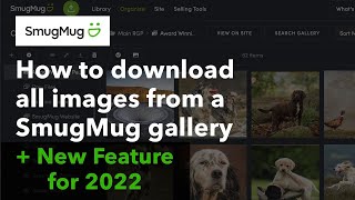 How to download all the images from a SmugMug Gallery [upl. by Eniluap]