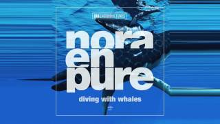 Nora En Pure – Diving with Whales [upl. by Renwick688]