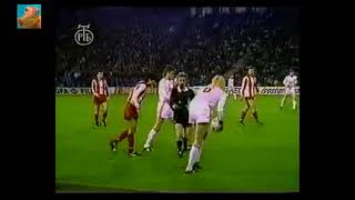 FC Red Star Belgrade  FC Bayern Munich 22 Semifinal European Champions Cup 24041991 [upl. by Forsta]