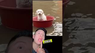 CÓMO SE CREÓ EL MEME DE “EL YATE TITÁN”😱🤯🌚💀short sabiasque curiosidades epic casos viral [upl. by Ayouqes]