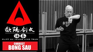 SIFU CLIFF AU YEUNG  WING CHUN  Correct Bong Sau [upl. by Wurster]