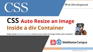 CSS Auto Resize an Image Inside a Div Container [upl. by Lefkowitz837]