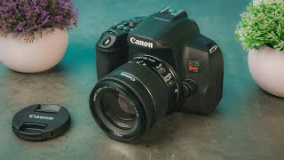 Best Beginner Cameras in 2024 [upl. by Llered]