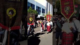 Tartan Day Townsville 2024 [upl. by Kensell]