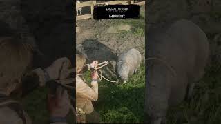 Sheep hunting 😄🐑🐏😂😁😮😯😲 shortvideo reddeadredemtion2 shorts [upl. by Ringler]