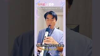 에어로폰전자악기 Roland Aerophone AE20 연주곡 Panflute Ver 연주  이양식 [upl. by Ethelinda]