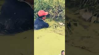 fishing fisherman fish fishermanlife carpfishing fishermanslife fishingtips fishermans [upl. by Lerual]