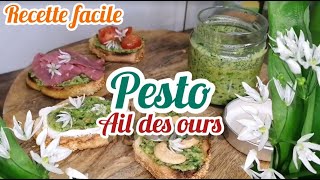 AIL DES OURS  PESTO amp TOASTS  RECETTE FACILE [upl. by Castora85]