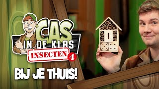 Insecten bij je thuis 🏠 🦗  Leren met Cas in de Klas  Kinderpretpark Julianatoren [upl. by Orelle]