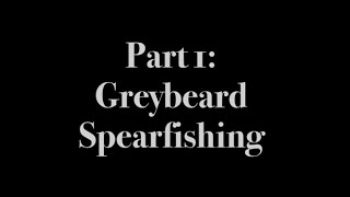 Greybeard Spearfishing Part 1 [upl. by Aihsinat634]