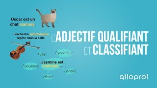 Ladjectif qualifiant et classifiant  Français  Alloprof [upl. by Earlene]