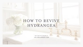 How to Revive Hyrangea  Bring Wilted Flowers and Droopy Hydrangea Back to Life [upl. by Rasla]